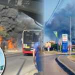 Ogroman požar u Kotežu: Vatra guta sve pred sobom, crni dim vidljiv iz više delova grada (FOTO/VIDEO)