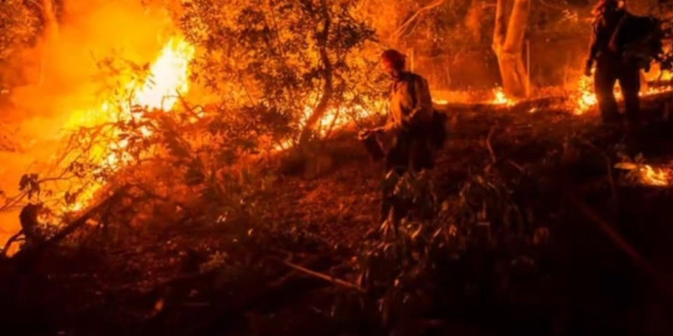 Gore hektari zemlje: Veliki požar u naselju Jaša Tomić (VIDEO)