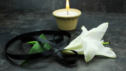 ПРЕМИНУЛА СЕНКА ВЕЛЕТАНЛИЋ