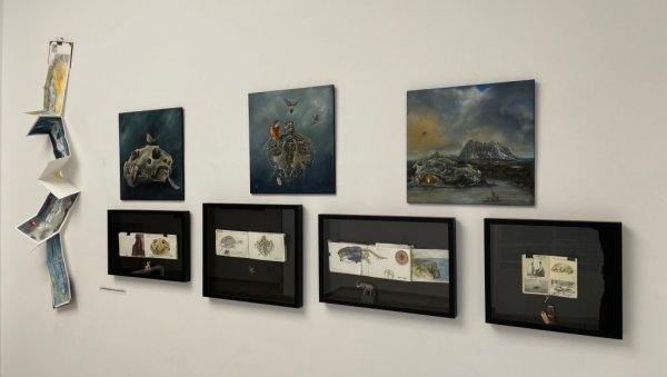 ПУТОВАЊЕ КРОЗ СВЕСТ УМЕТНИКА: Традиционална изложба Ликовни дневници у галерији Хаос